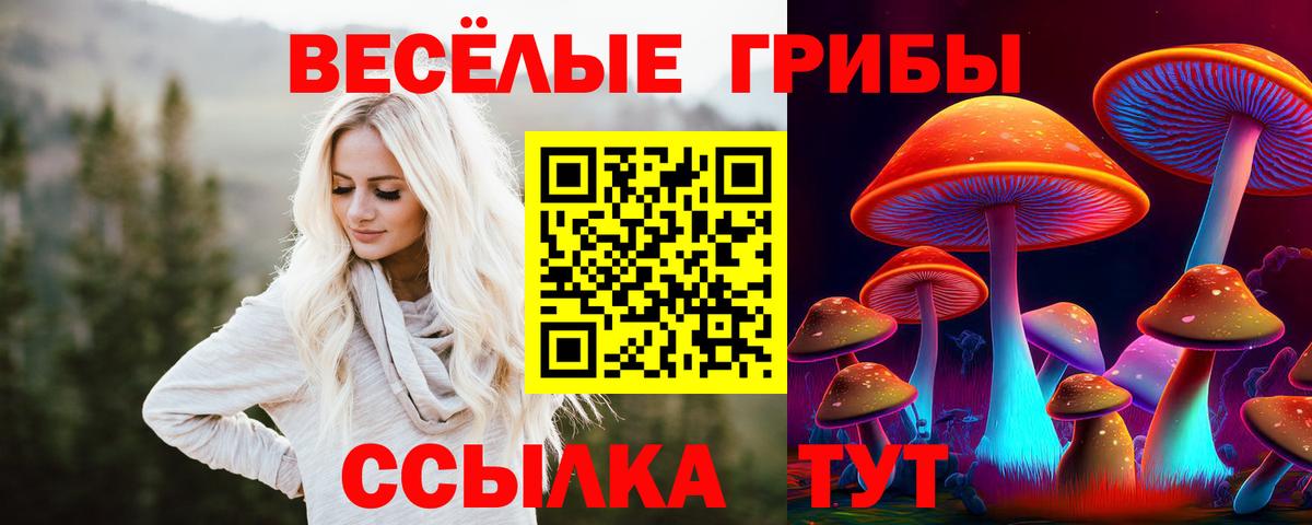 Учалы  Галлюциногенные грибы Psilocybe  Вход с VPN  Галлюциногенные грибы мицелий 