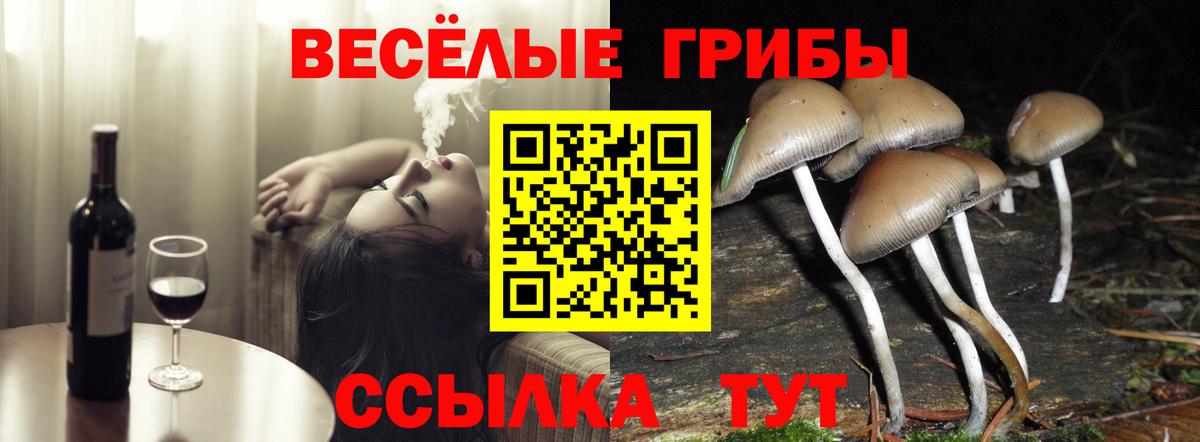 Псилоцибиновые грибы Psilocybe Учалы
